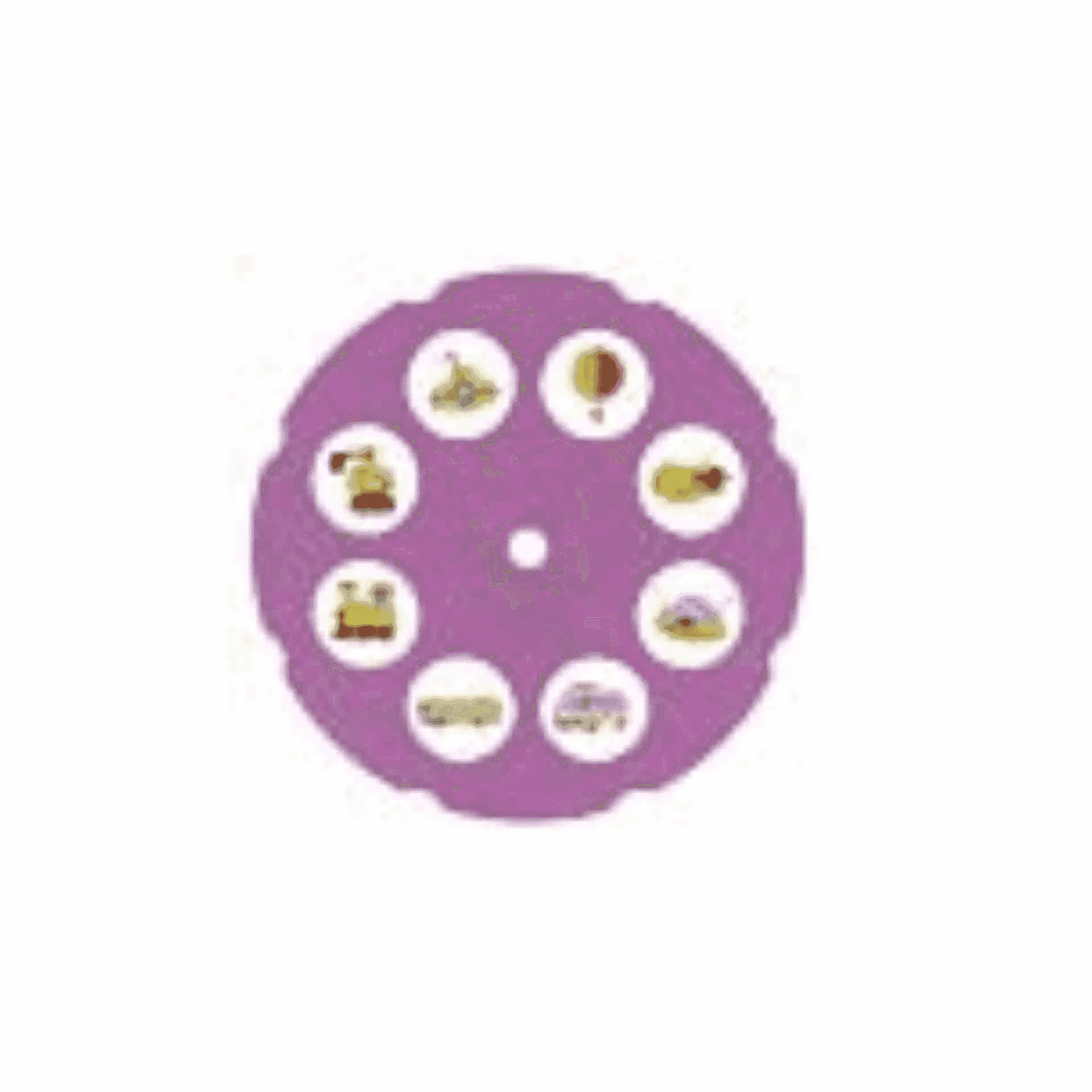 Imagen del producto 4