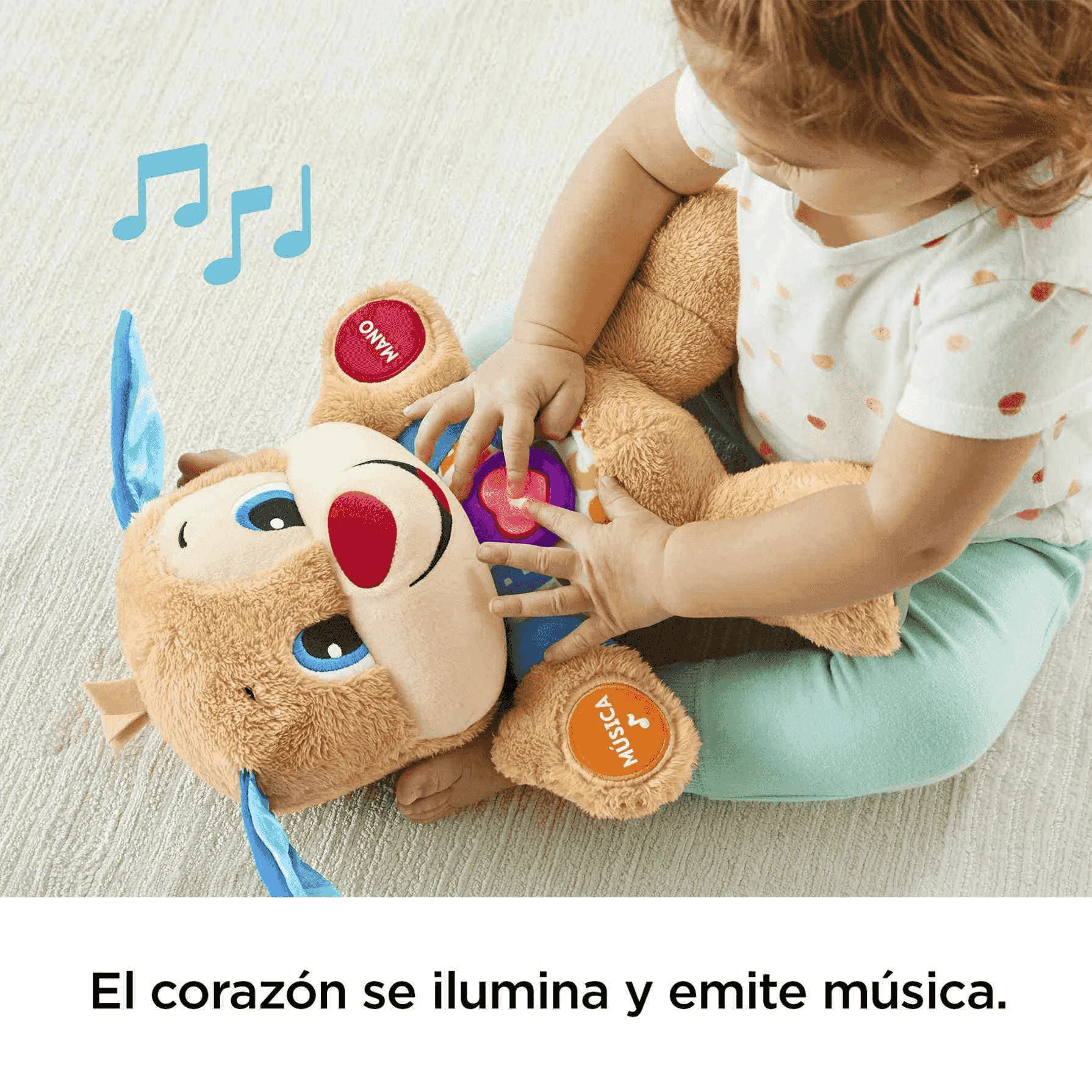 Imagen del producto 5