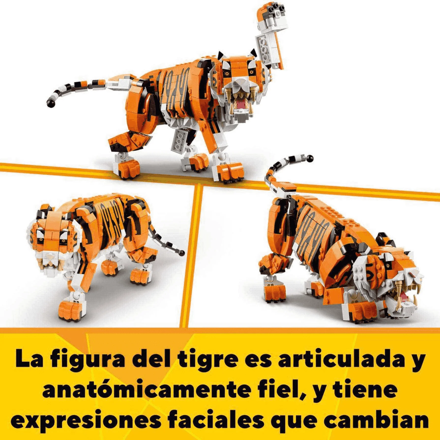Imagen del producto 4